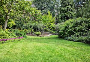 Optimiser l'expérience du jardin à Fontaine-Chaalis